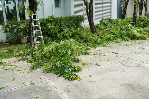 Best Utility Line Clearance  in San Leandro, CA